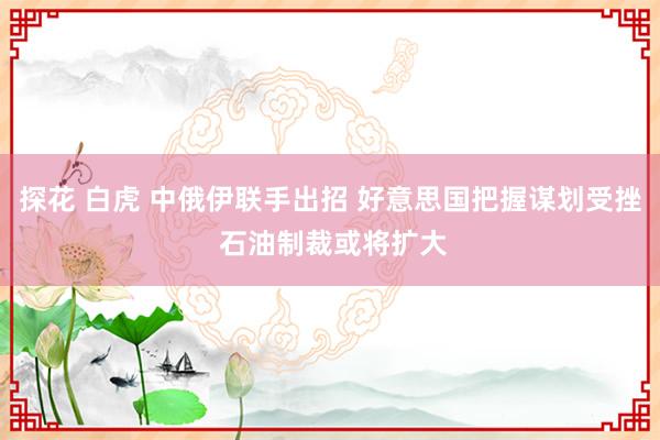 探花 白虎 中俄伊联手出招 好意思国把握谋划受挫 石油制裁或将扩大
