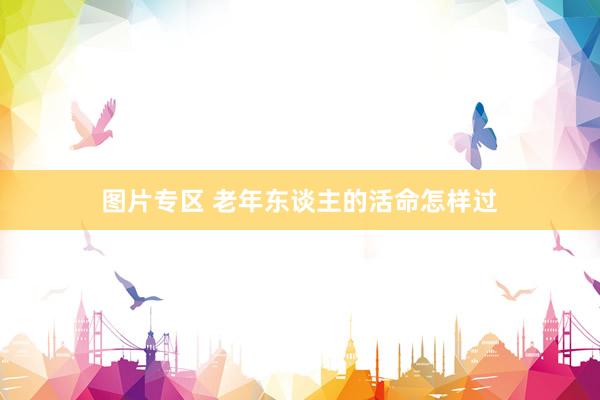 图片专区 老年东谈主的活命怎样过