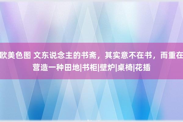 欧美色图 文东说念主的书斋，其实意不在书，而重在营造一种田地|书柜|壁炉|桌椅|花插