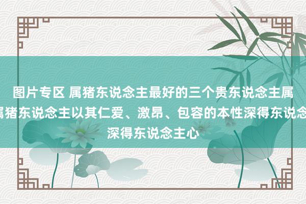 图片专区 属猪东说念主最好的三个贵东说念主属相, 属猪东说念主以其仁爱、激昂、包容的本性深得东说念主心