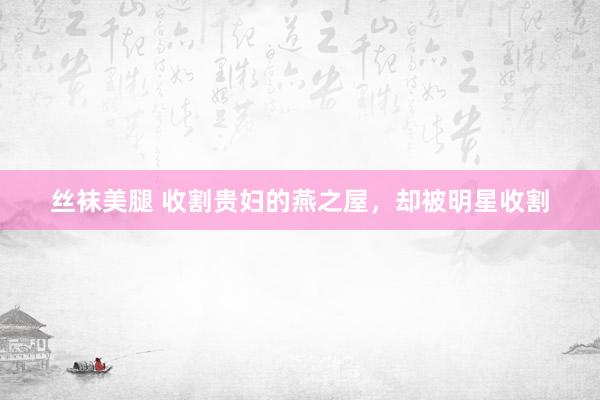 丝袜美腿 收割贵妇的燕之屋，却被明星收割